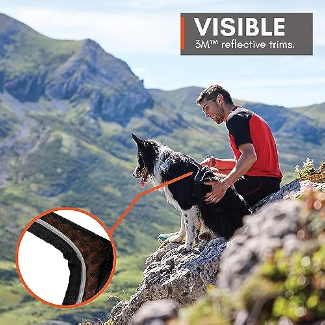 Rock Climbing Harness - Small Safety Gear for Outdoor Sports