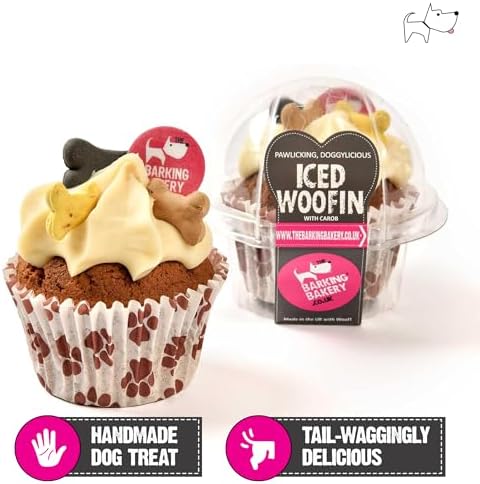 Vanilla Dog Birthday Cake – Iced Cupcake Puppy Treat