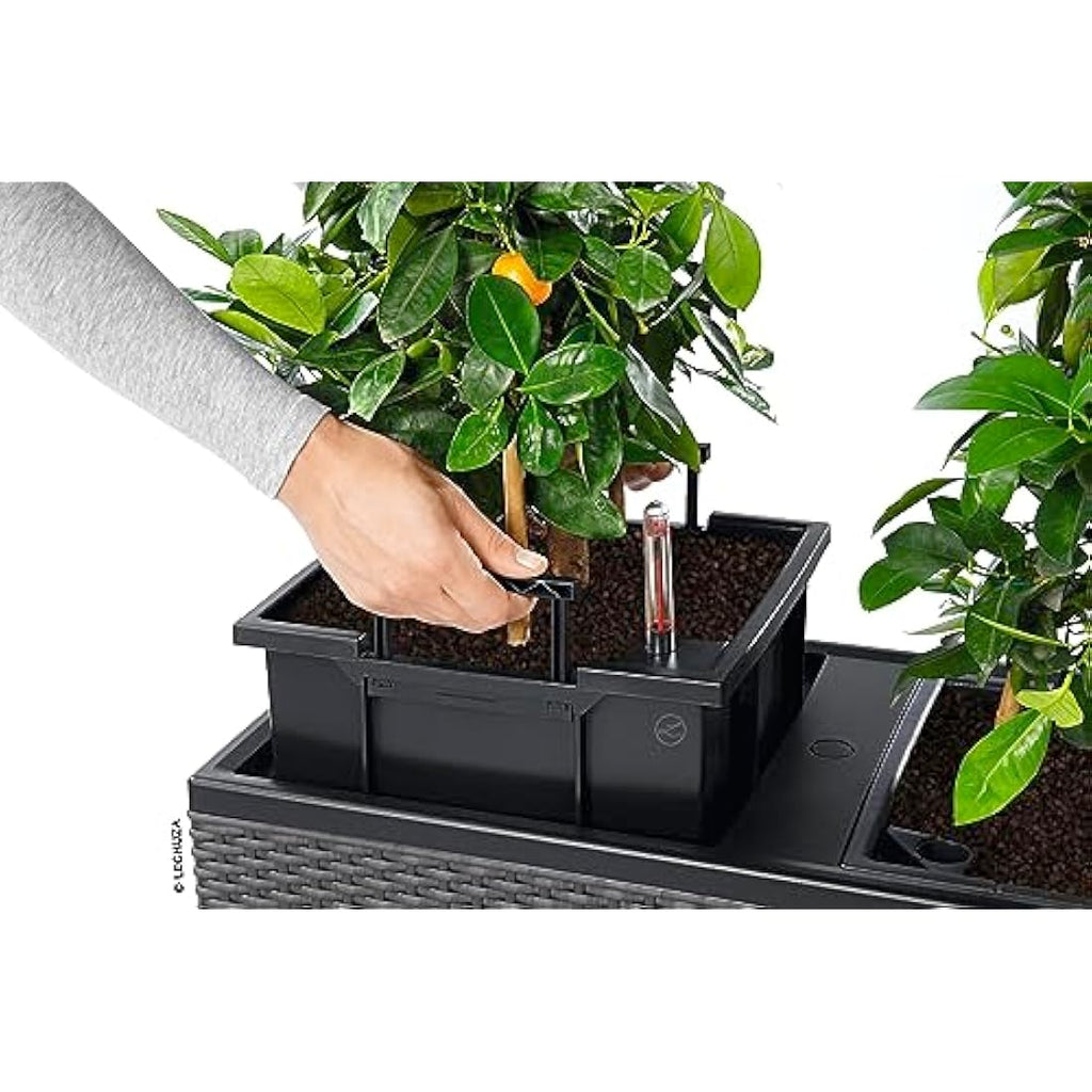 Lechuza Trio Cottage 30 Self-Watering Planter - Sandy Brown Wicker