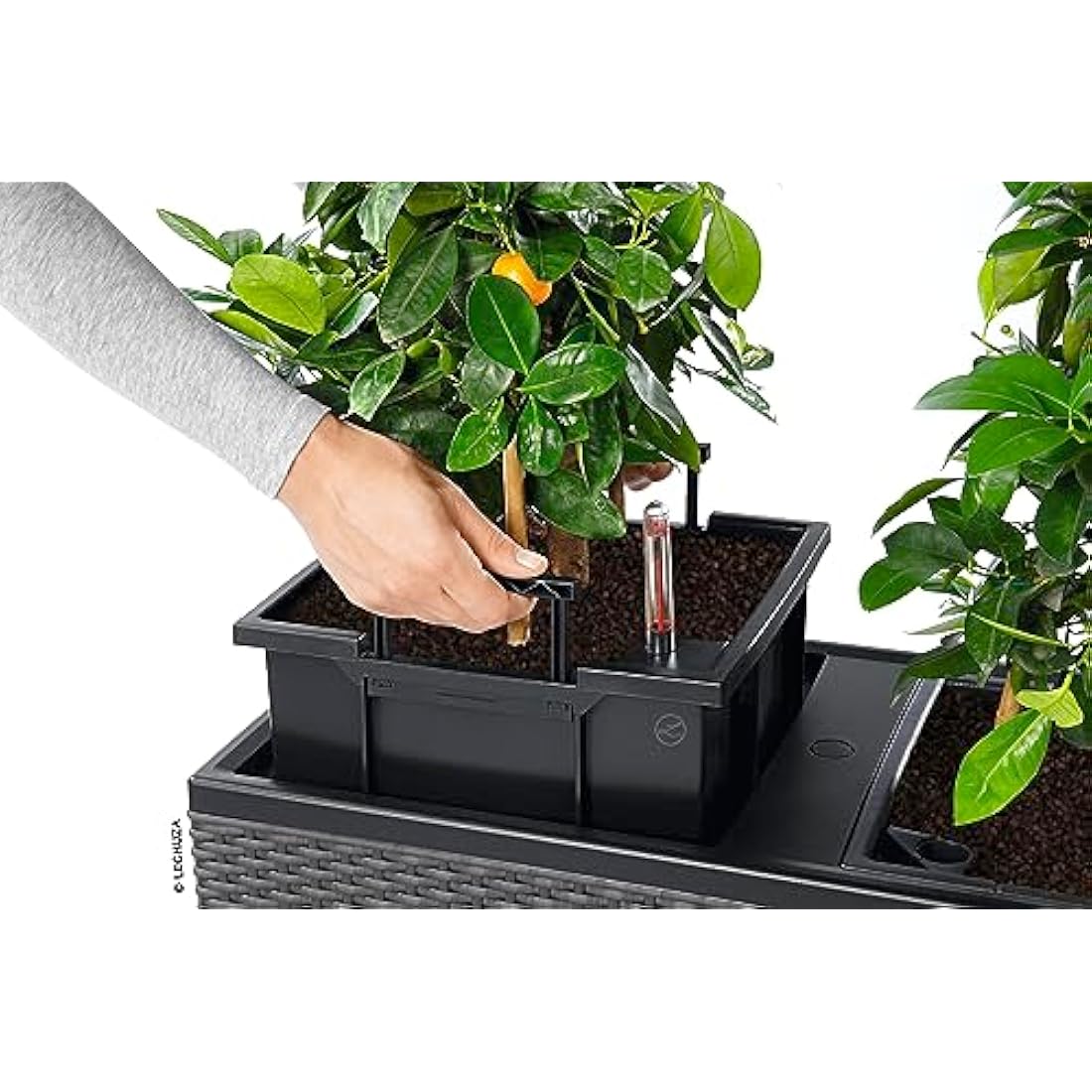 Lechuza Trio Cottage 30 Self-Watering Planter - Sandy Brown Wicker