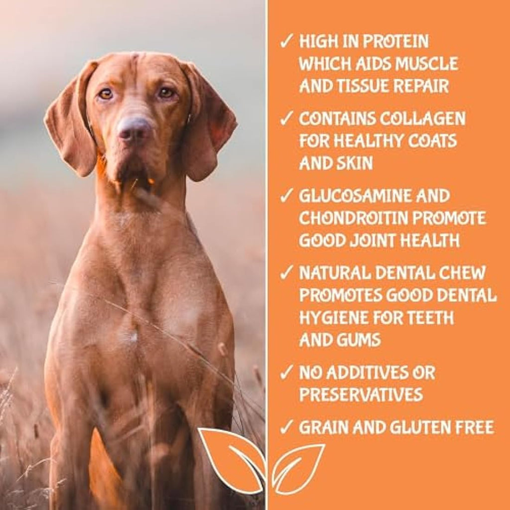 Extra Large Pig Ears for Dogs – 50 Pack Natural Dog Chews