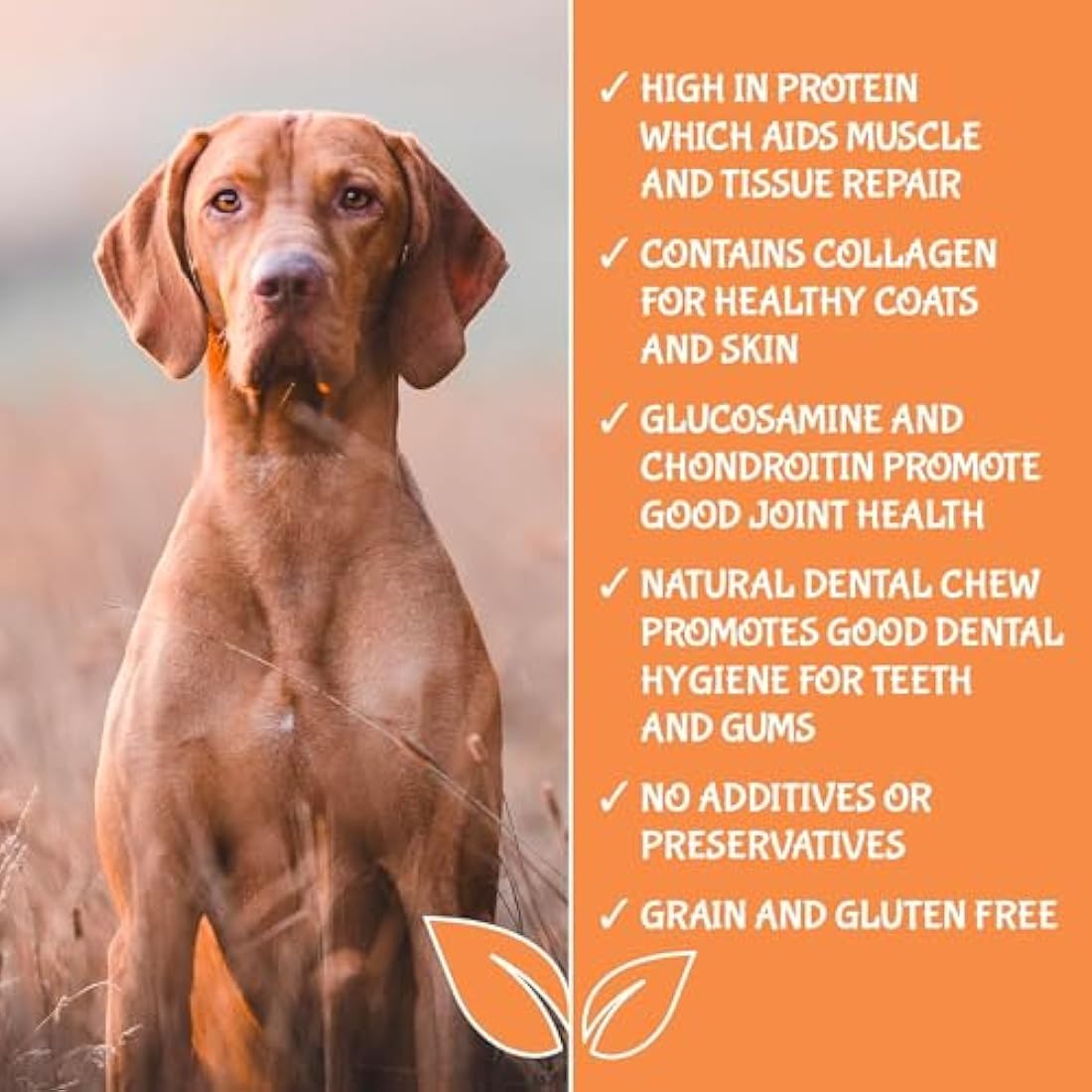 Extra Large Pig Ears for Dogs – 50 Pack Natural Dog Chews