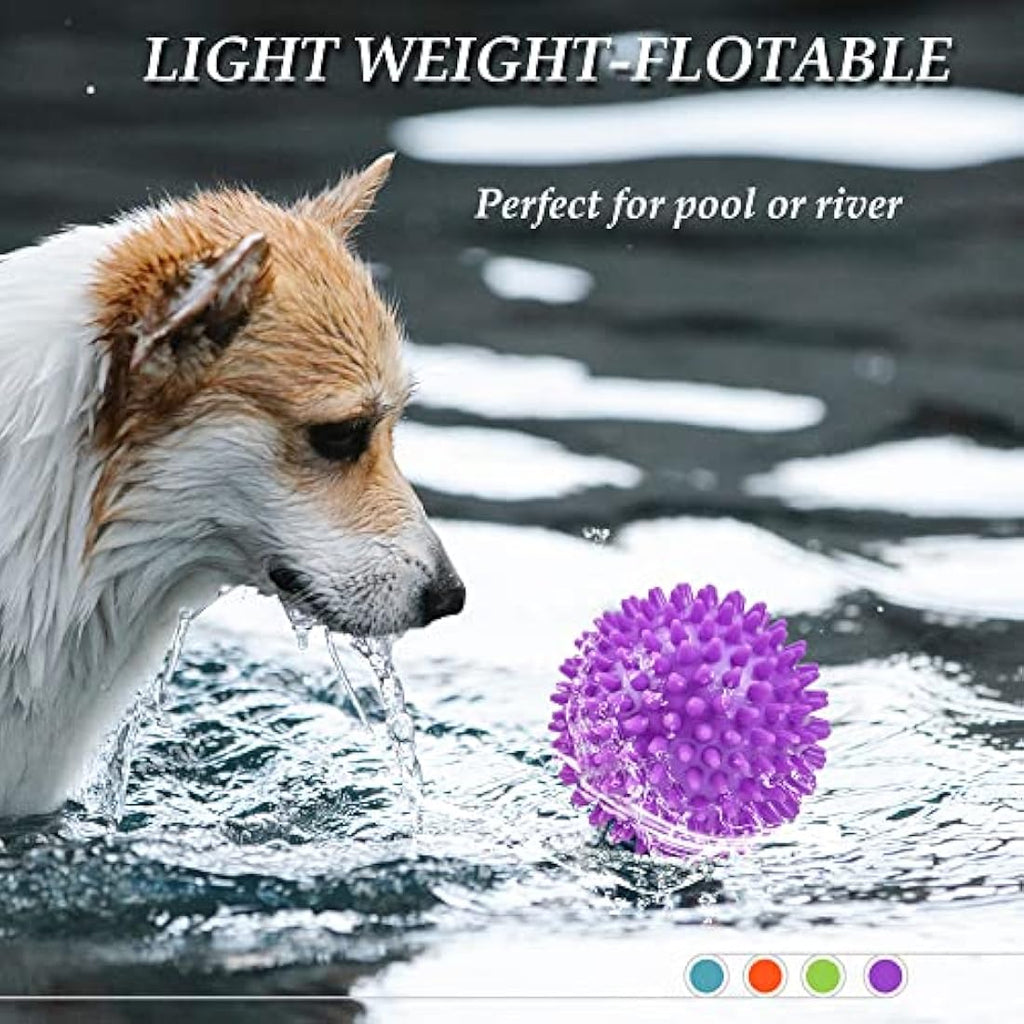 Jolof Store Squeaky Dog Toy Balls – 4 Pack Spikey Durable Dog Toys