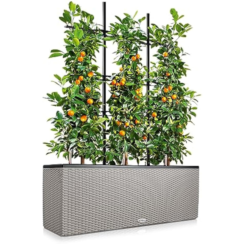 Lechuza Trio Cottage 30 Self-Watering Planter - Sandy Brown Wicker
