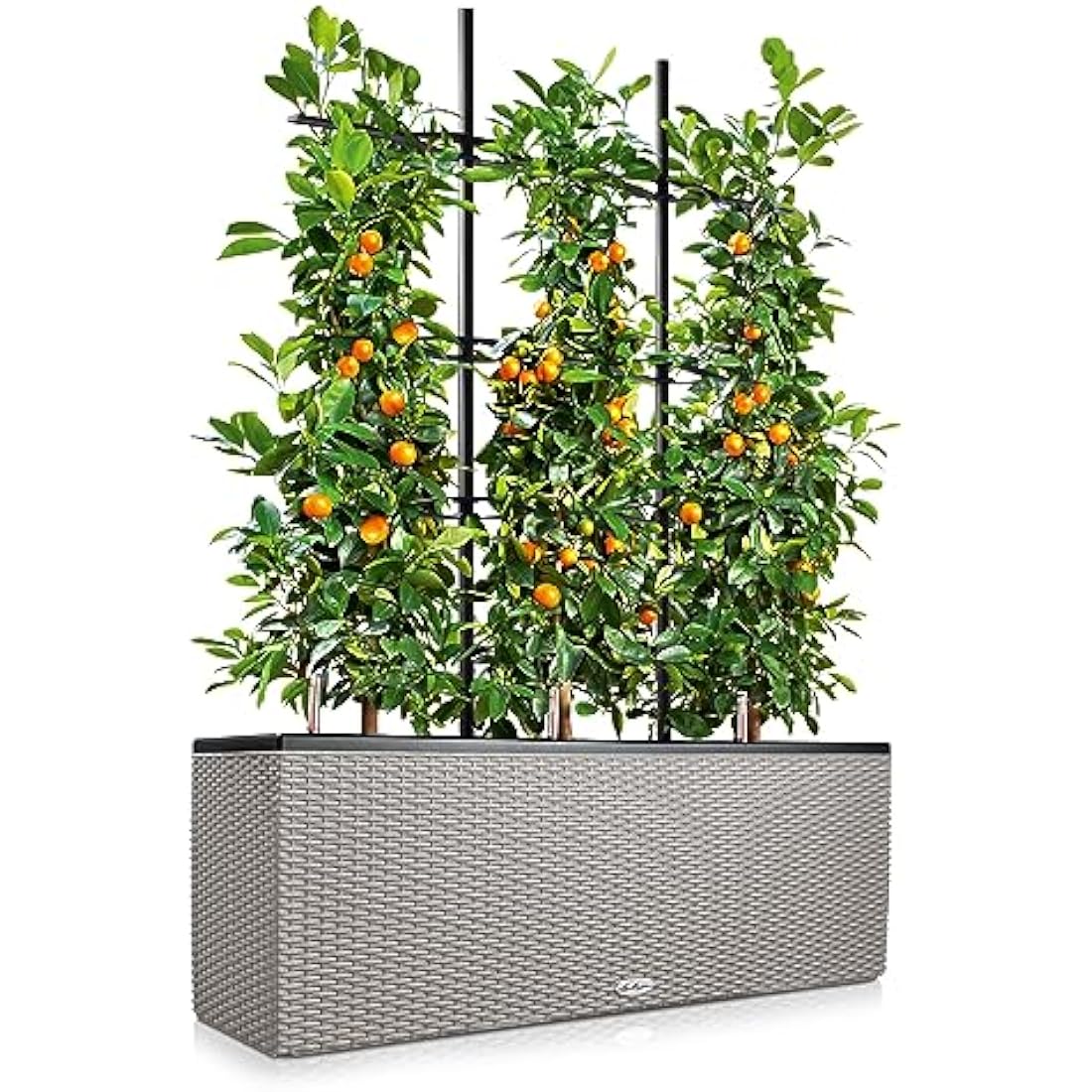 Lechuza Trio Cottage 30 Self-Watering Planter - Sandy Brown Wicker