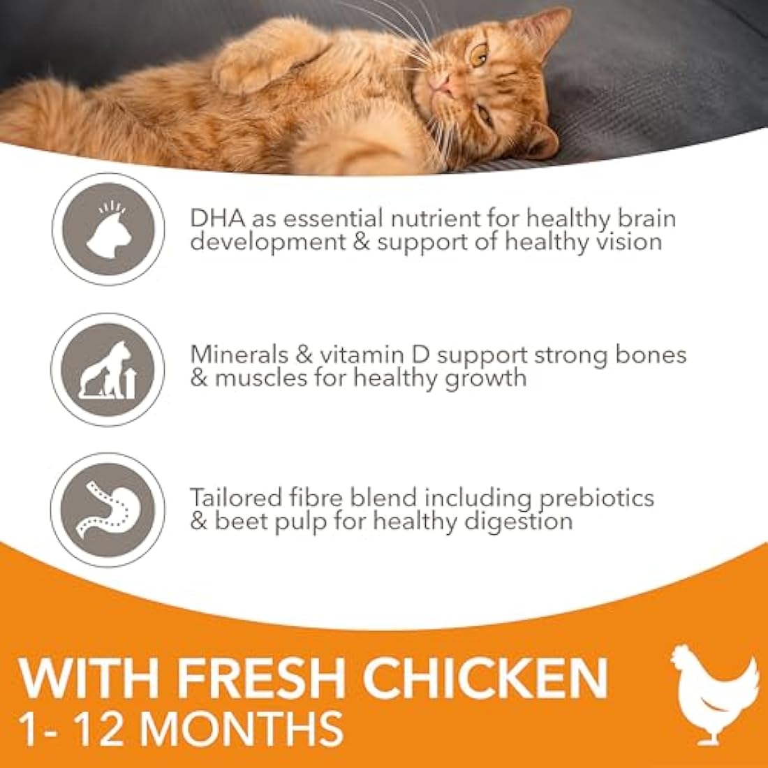 IAMS Kitten Dry Cat Food - Chicken Recipe for Healthy Growth, 10kg