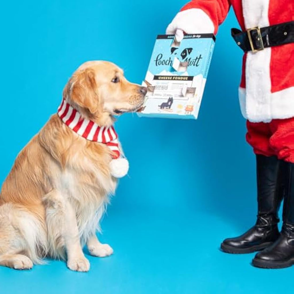 Pooch & Mutt Dog Advent Calendar – Grain-Free Probiotic Cheese Treats