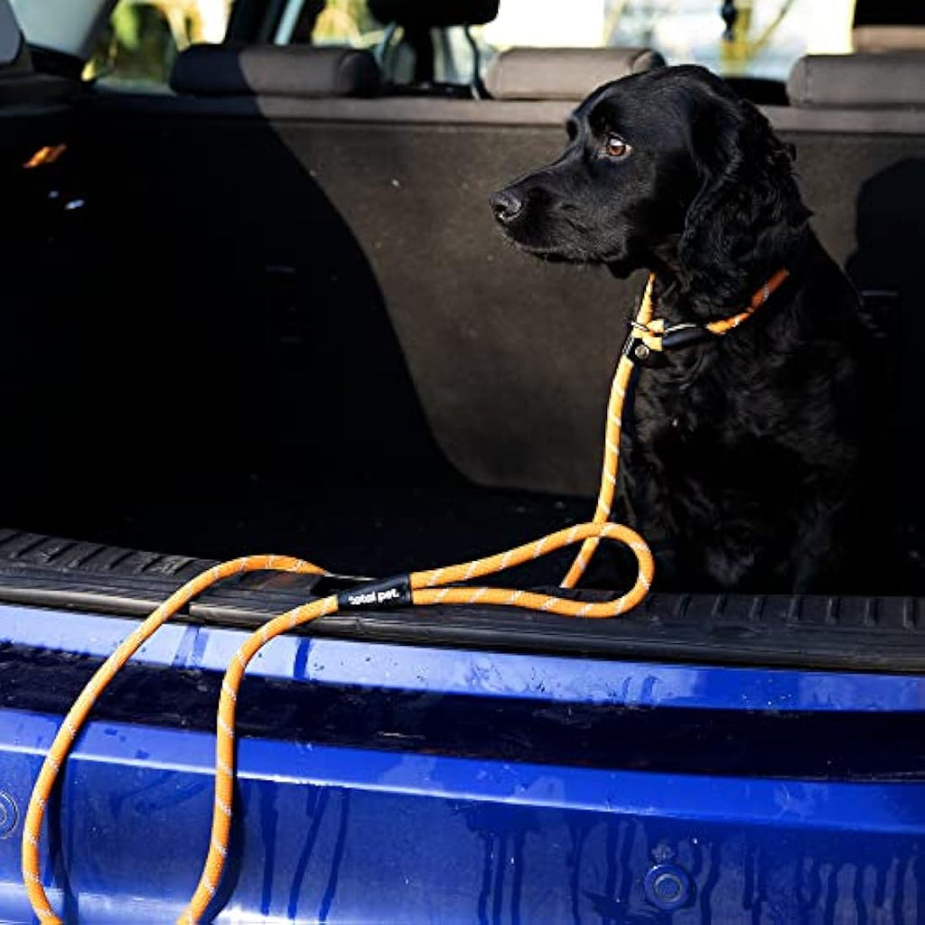 Padded Slip Lead – 1.8m Anti-Pull Rope Dog Training Leash