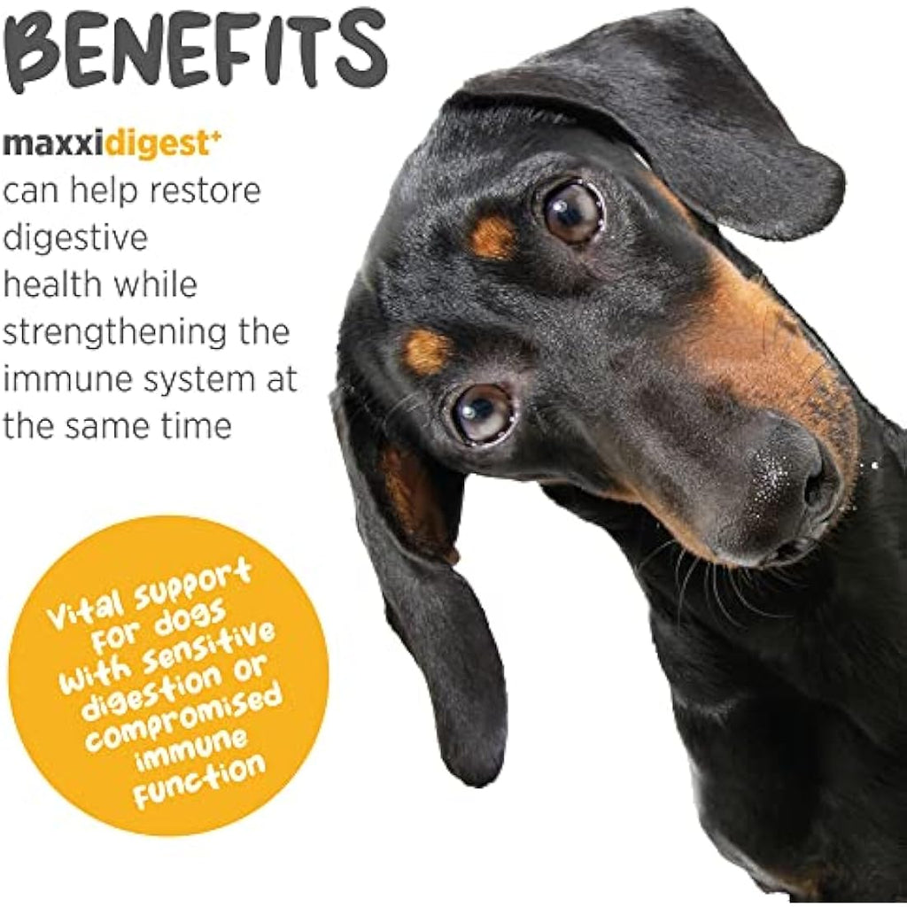 maxxipaws maxxidigest+ Dog Probiotic & Prebiotic Powder Supplement, 200g