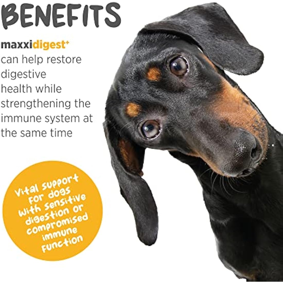 maxxipaws maxxidigest+ Dog Probiotic & Prebiotic Powder Supplement, 200g
