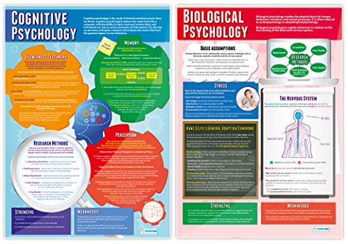 Daydream Education Psychological Approaches Posters - Set of 5 A1 Charts