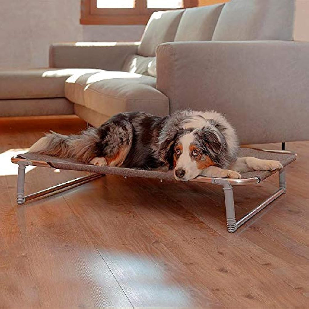 Ferplast Dream 100 Dog Bed – Foldable Aluminium Frame Cot, 105x63cm