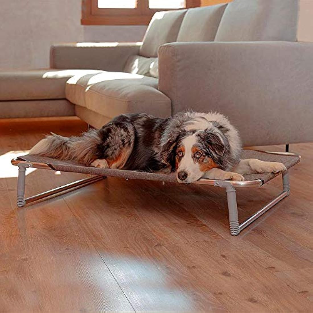 Ferplast Dream 100 Dog Bed – Foldable Aluminium Frame Cot, 105x63cm