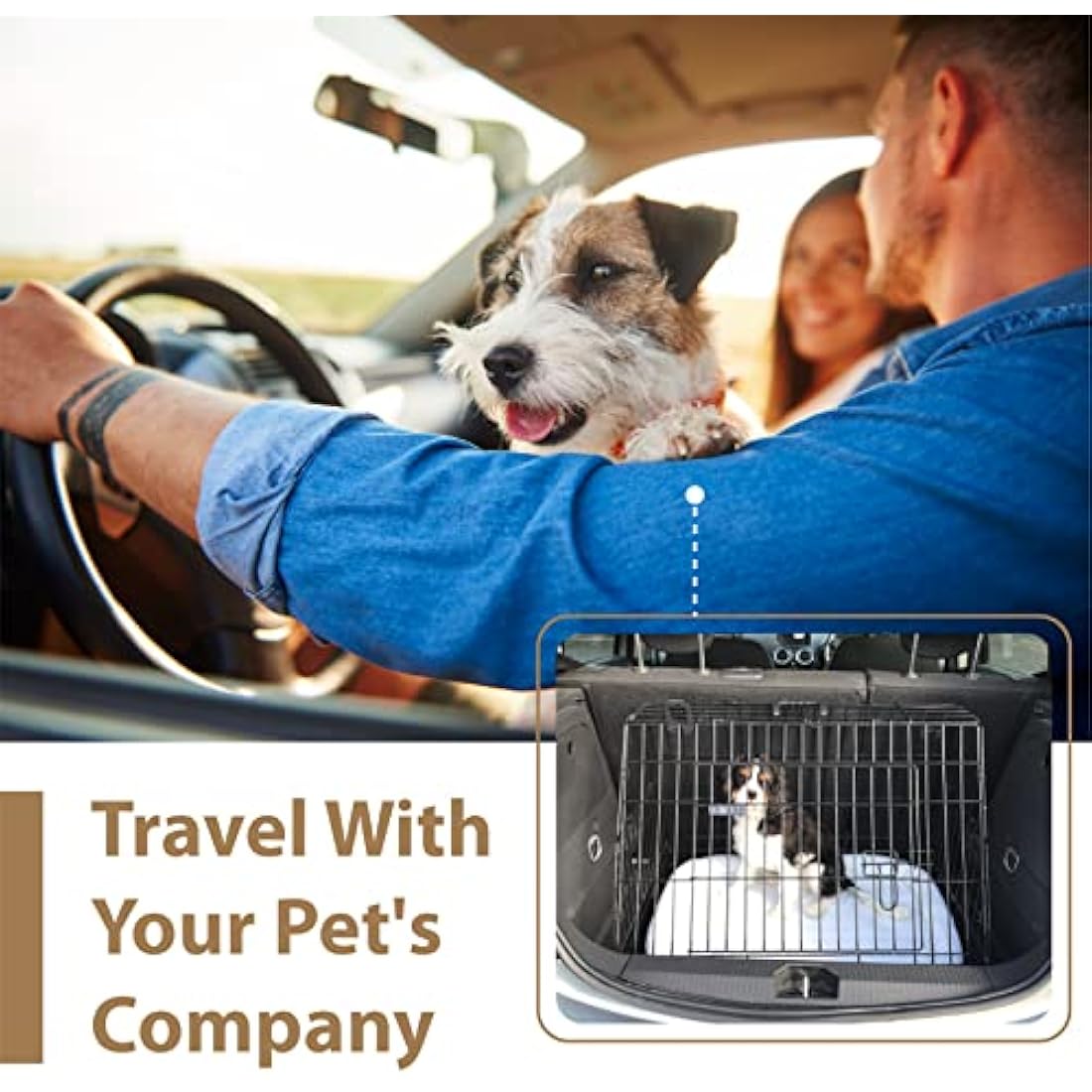 Ellie-Bo 24-inch Folding Dog Crate | 2-Door Metal Cage with Bed Mat
