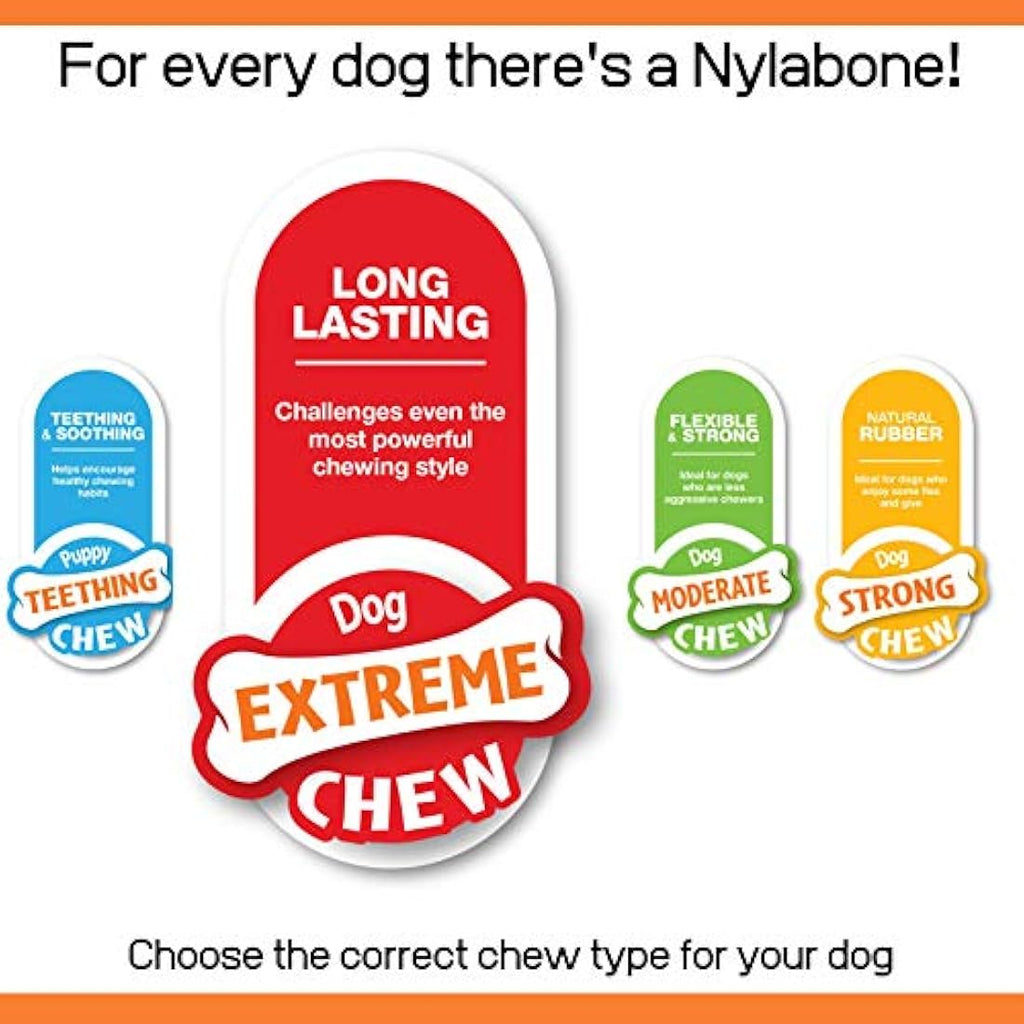 Nylabone Extreme Tough Wishbone Dog Chew Toy - Bison Flavour, Small