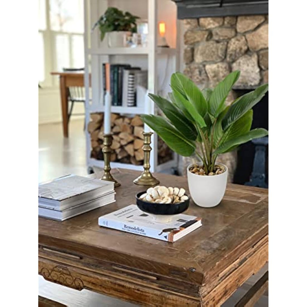 Hollyone 37cm Artificial Bird of Paradise – Faux Tropical Desk Plant
