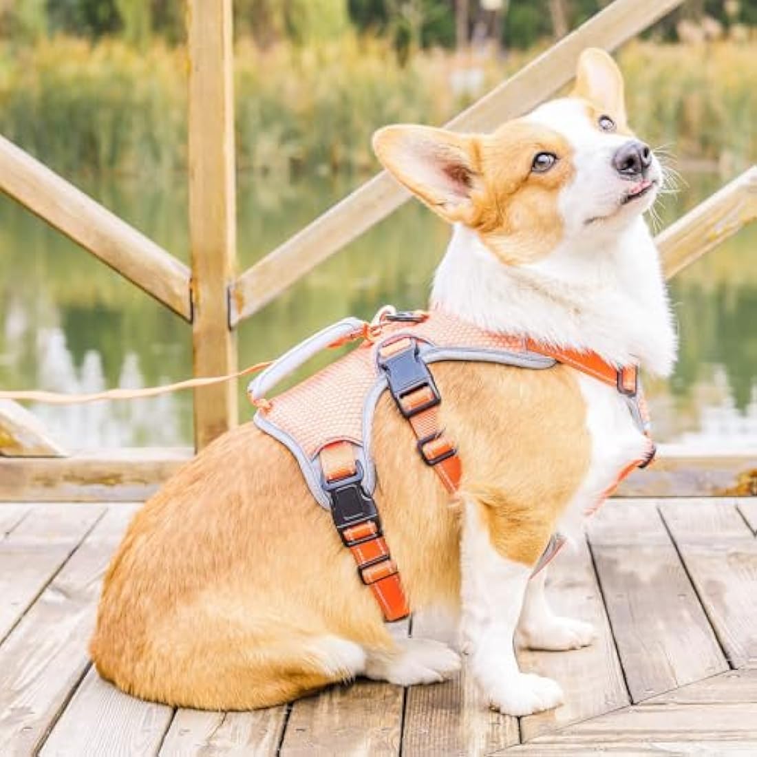 BELPRO Escape Proof Dog Harness – Reflective No Pull Support Vest, Orange, S