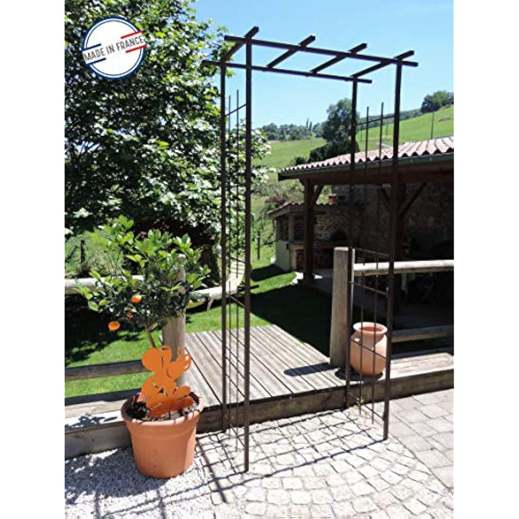 Louis Moulin Aged Iron Square Tube Pergola for Climbing Plants