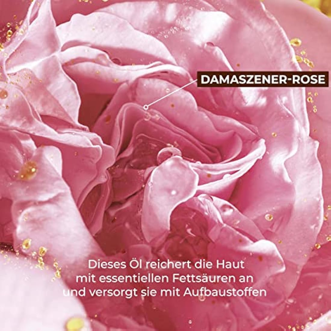 Yves Rocher Riche Crème Anti-Wrinkle Day Cream with Rose Oil – 50ml