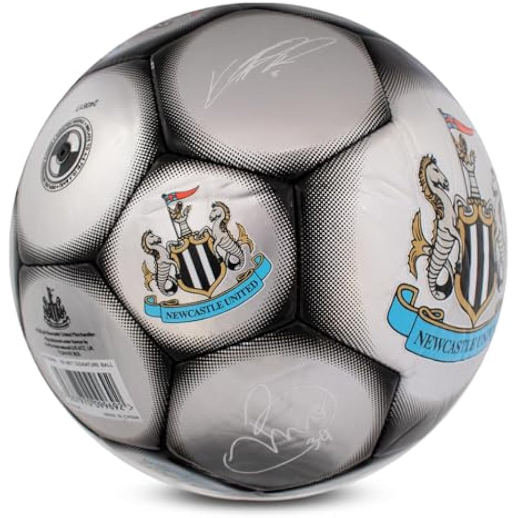 Hy-Pro Official Classic Signature Football – Metallic Training Ball, Size 5