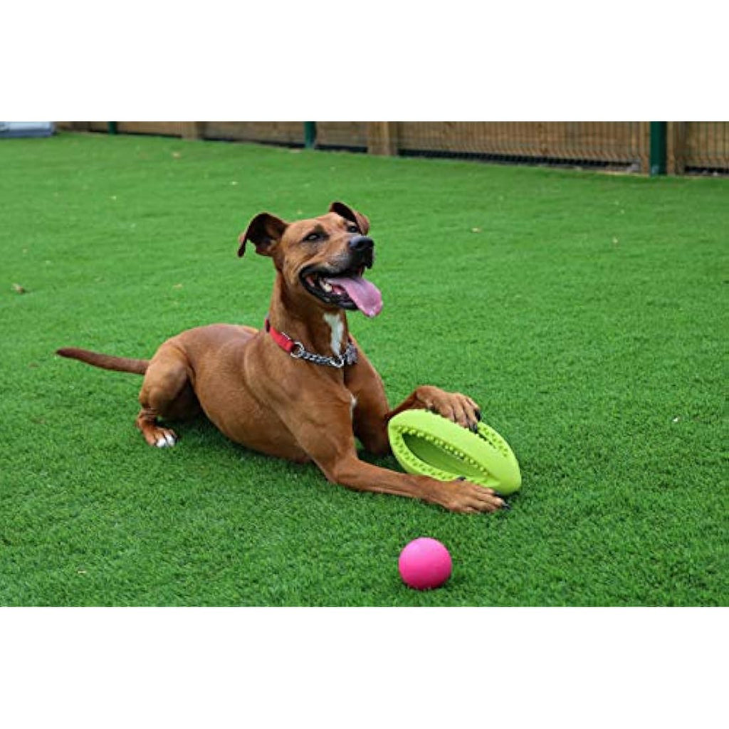Grubber Rugby Ball Dog Toy – Durable Interactive Fetch Toy