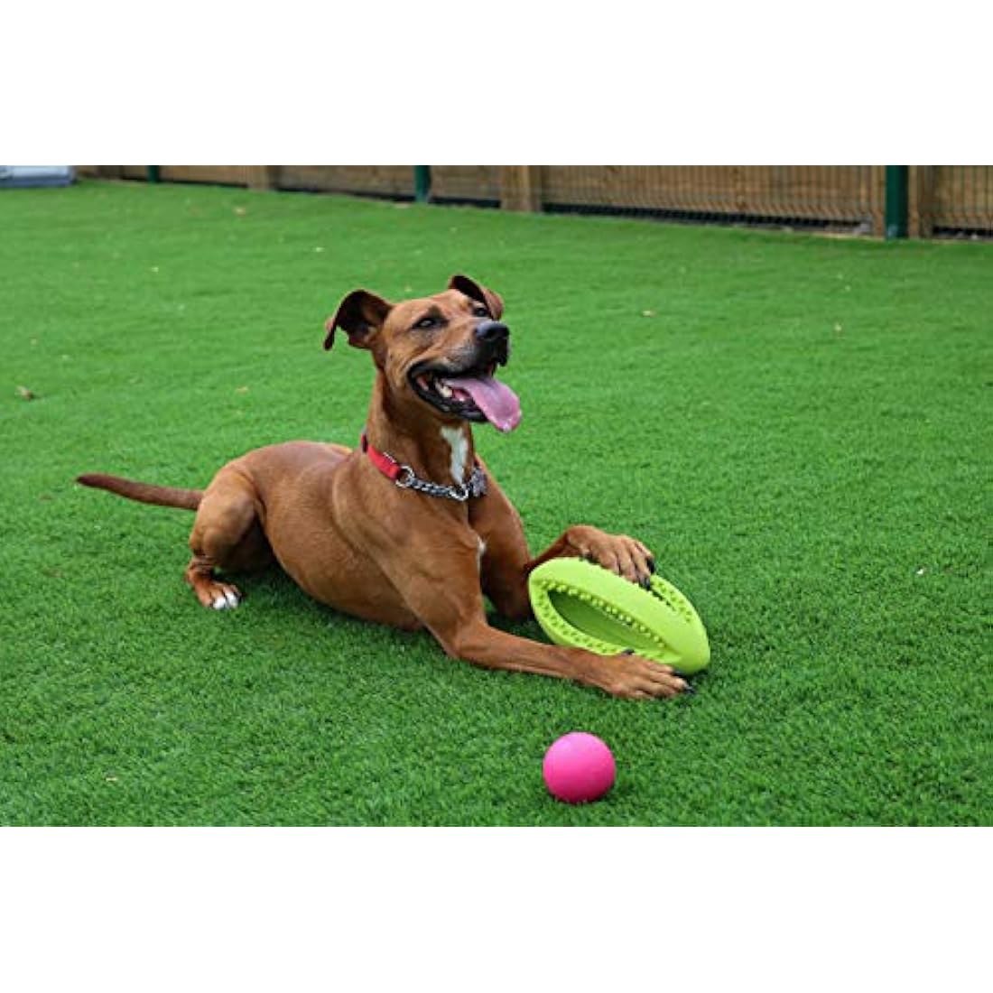 Grubber Rugby Ball Dog Toy – Durable Interactive Fetch Toy