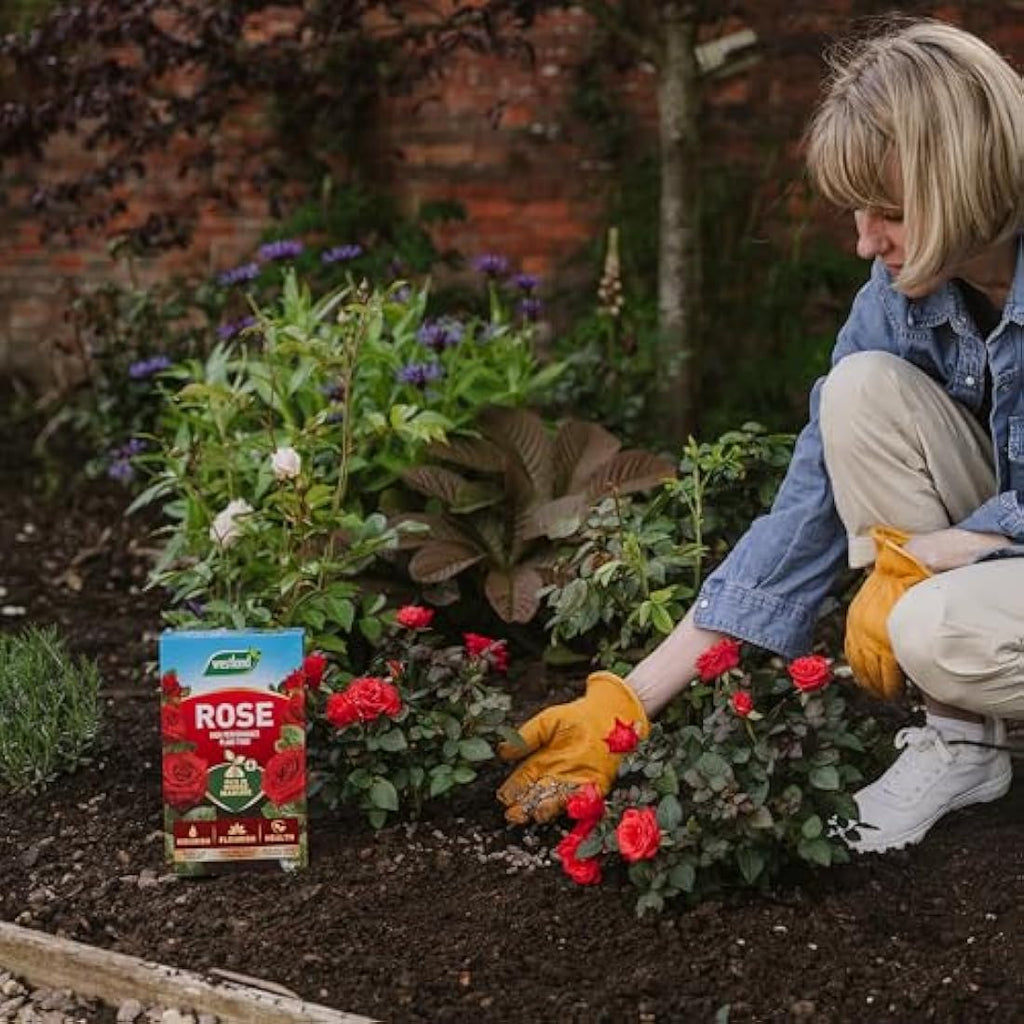 Westland Rose Food with Horse Manure and Plant Stimulant - 3 kg
