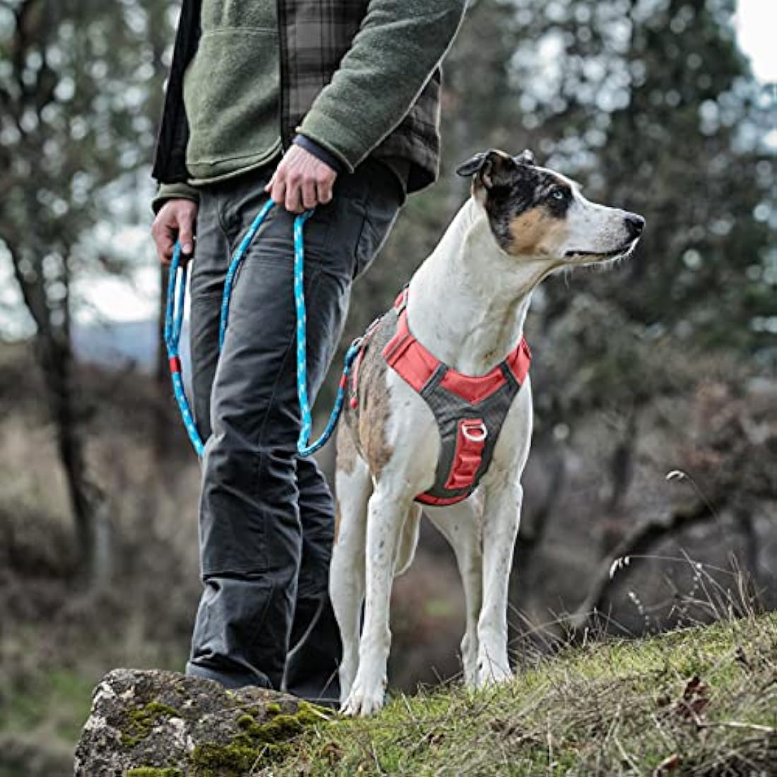 Kurgo Journey Air Dog Harness – Breathable Active Gear, Coral, Large