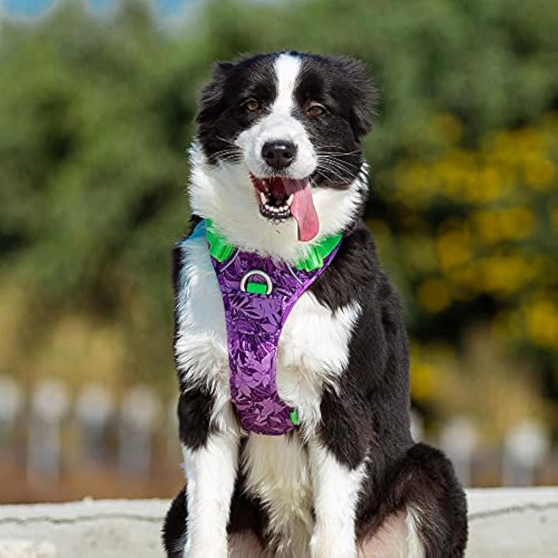Jolof Store No Pull Dog Harness | Reflective Nylon Step-in Vest – Purple
