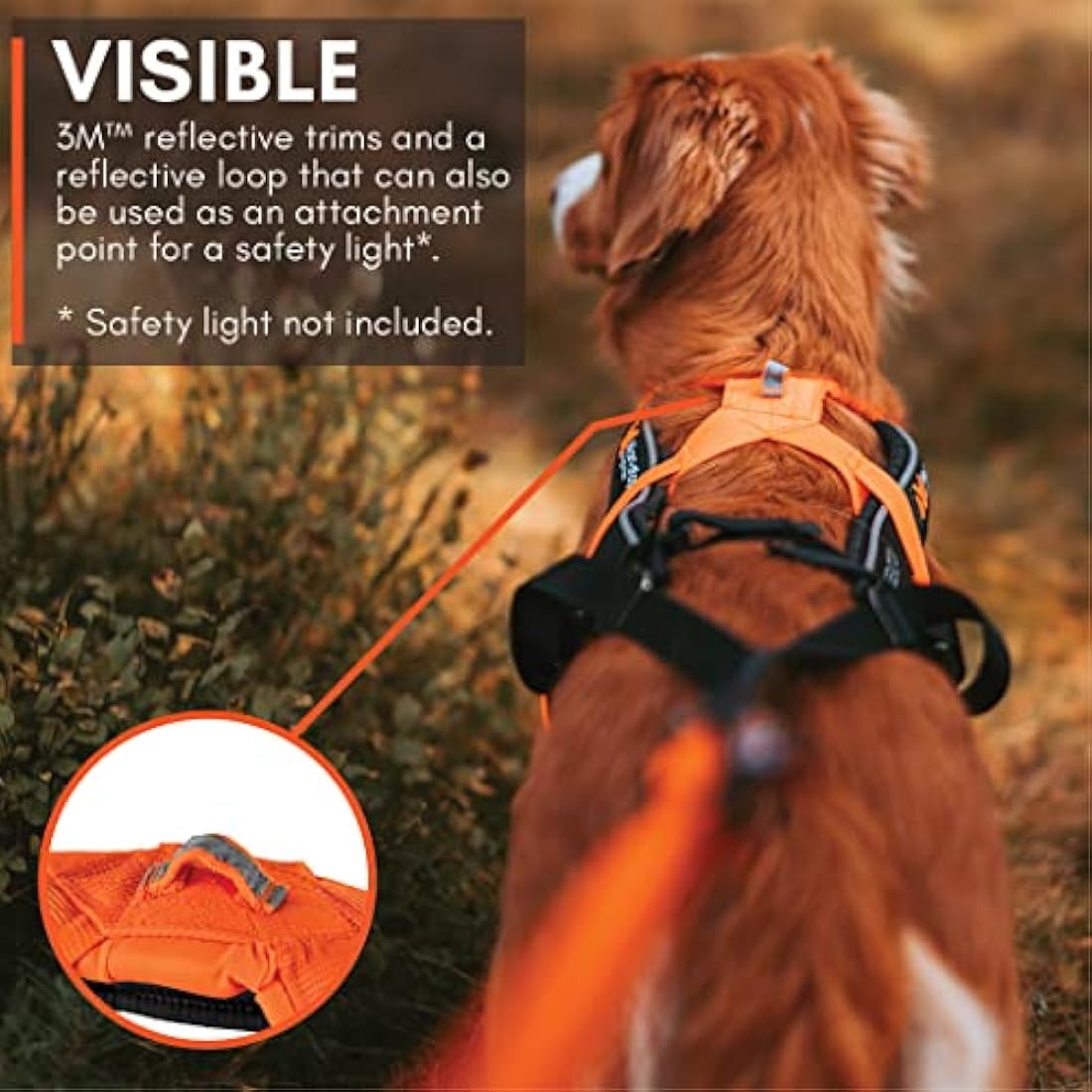 Non-stop dogwear Freemotion 5.0 Dog Pulling Harness - Blue/Gray, Size 4
