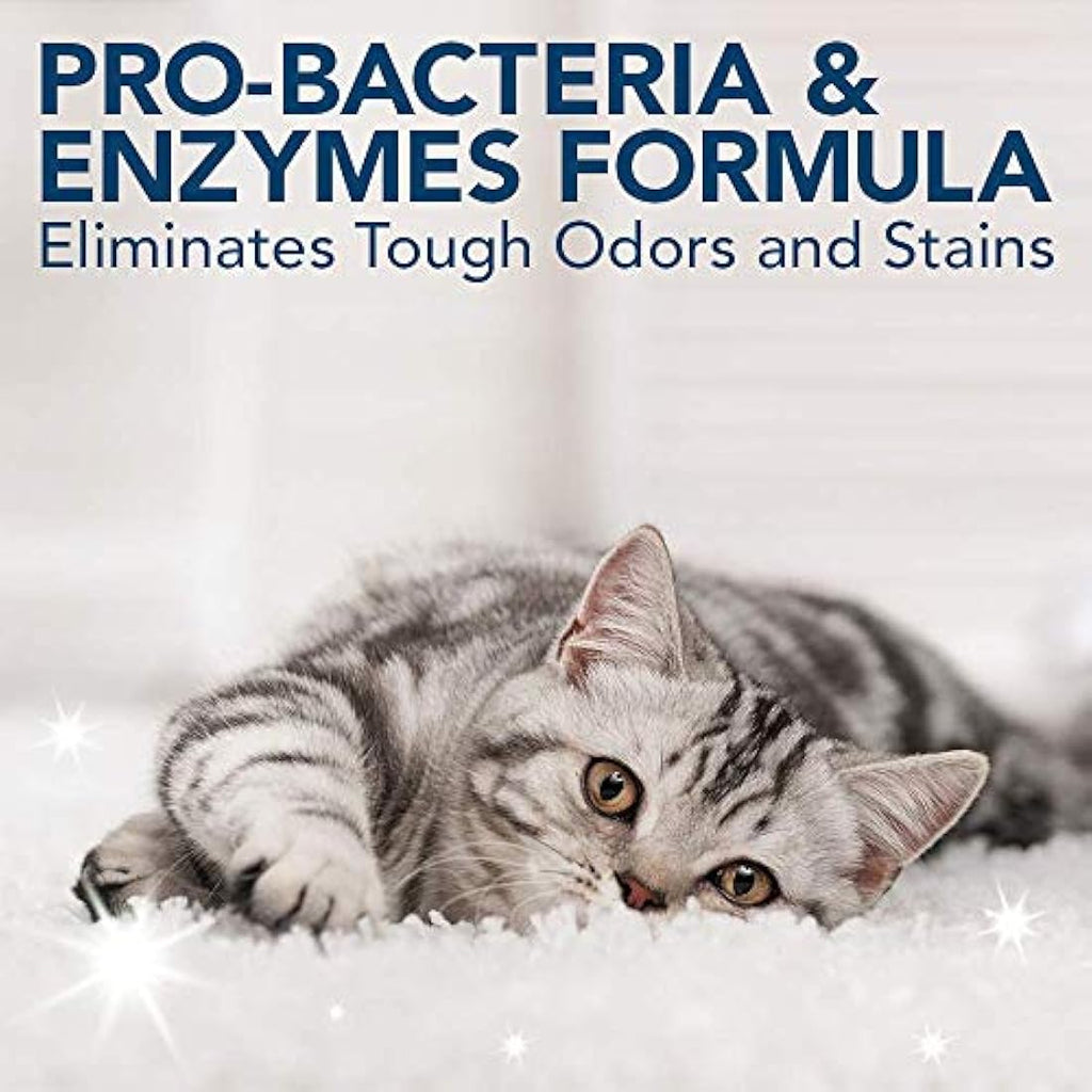 OUT! Pet Stain and Odour Remover – Enzymatic Pro-Bacteria Cleaner 500ml