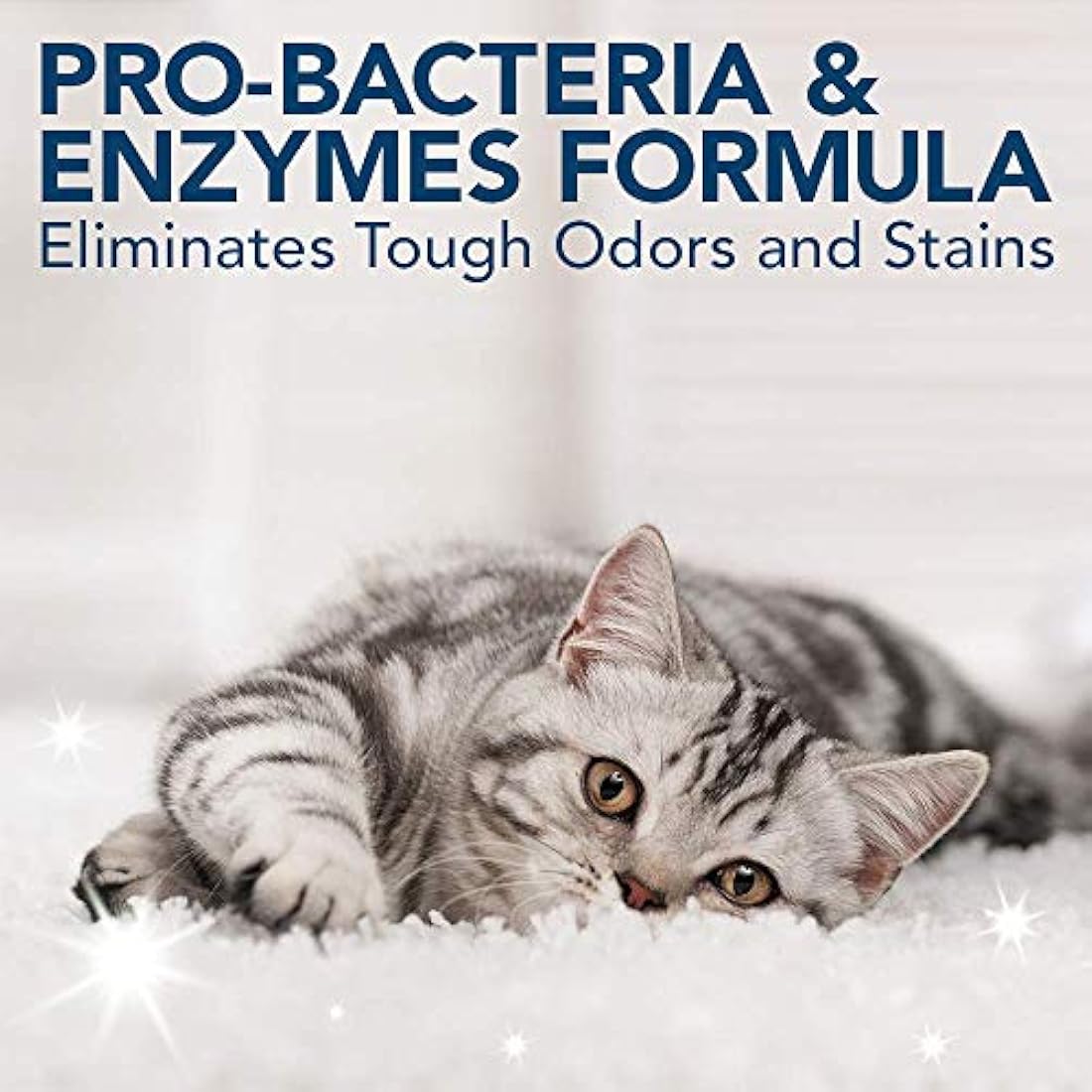 OUT! Pet Stain and Odour Remover – Enzymatic Pro-Bacteria Cleaner 500ml