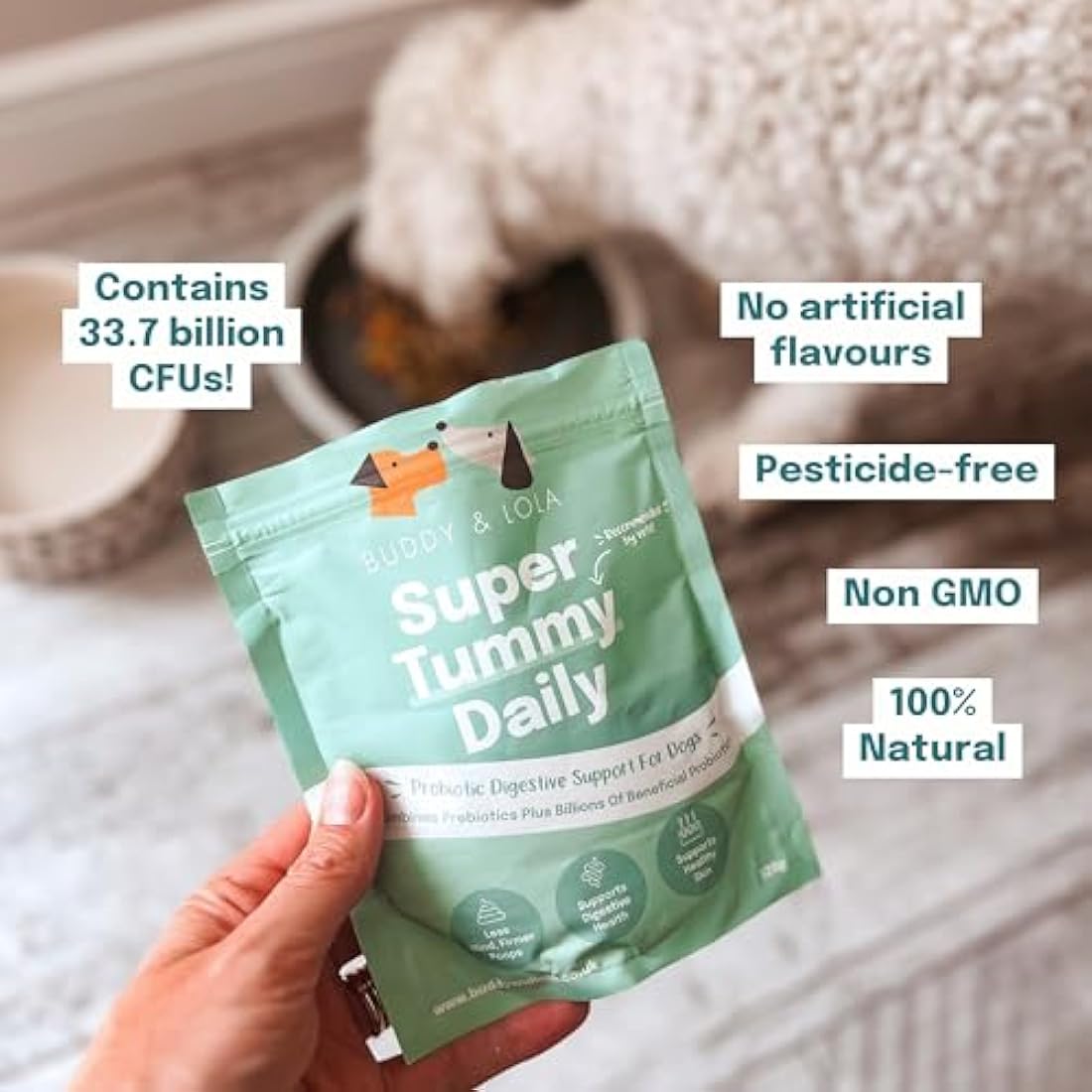 Buddy and Lola Dog Probiotics Powder | Soil Based Gut Health Supplement