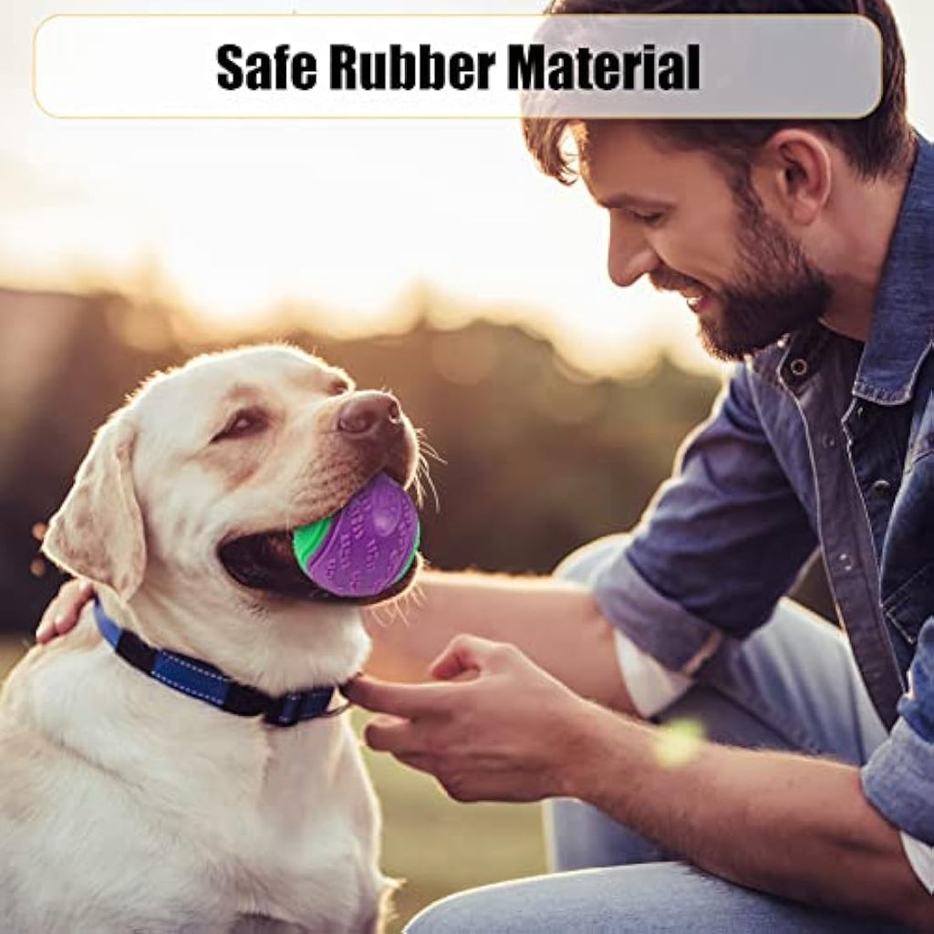 Jolof Store Squeaky Dog Ball 4-Pack – Durable Interactive Pet Toy