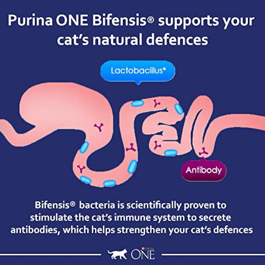 Purina One Dry Cat Food – Chicken Flavor – Urinary Tract Health 6kg