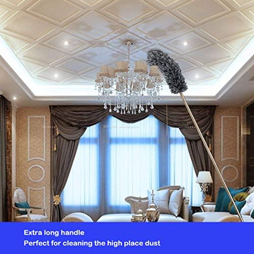 Lomida Microfiber Duster with 100-inch Extendable Pole and Bendable Head