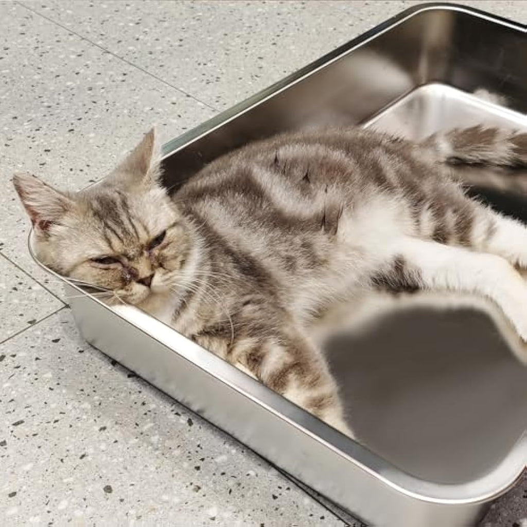 IKITCHEN Stainless Steel Cat Litter Box – Large Low Entry Metal Pan