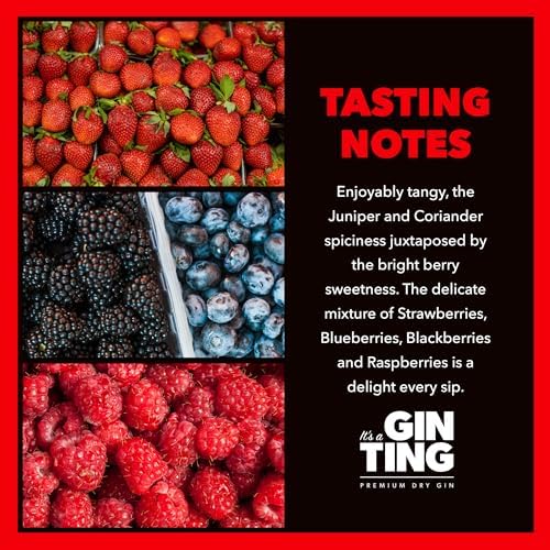 GinTing Berries Flavoured Gin – Premium London Dry with Mixed Fruit 70cl
