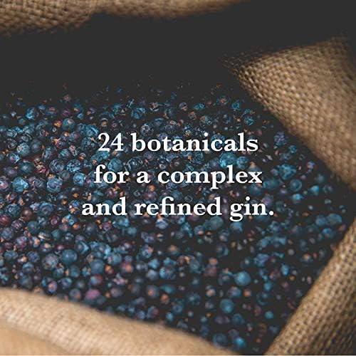 Silent Pool Gin Gift Set – 70cl Botanical Spirit with 2 Copa Glasses