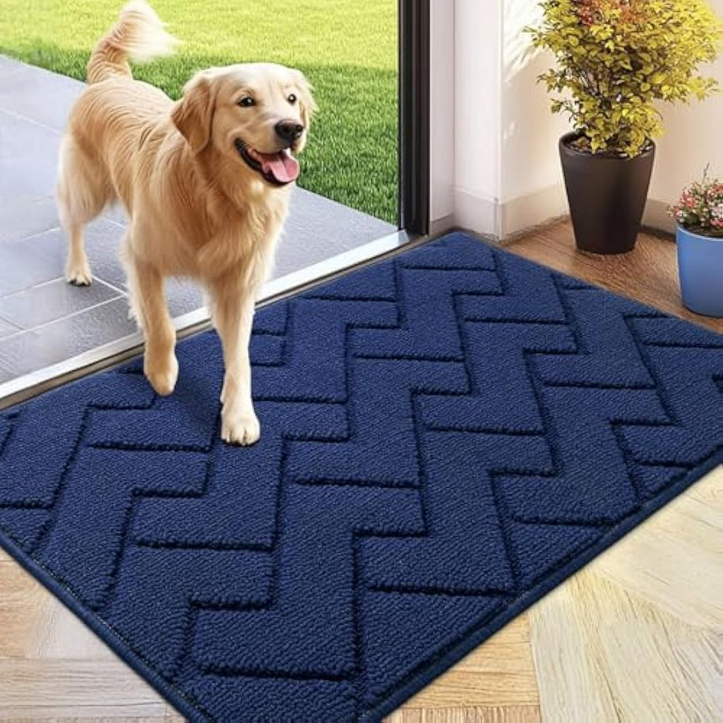 Biscpro Indoor Door Mat – Washable Non-Slip Dirt Trapper Rug, Blue