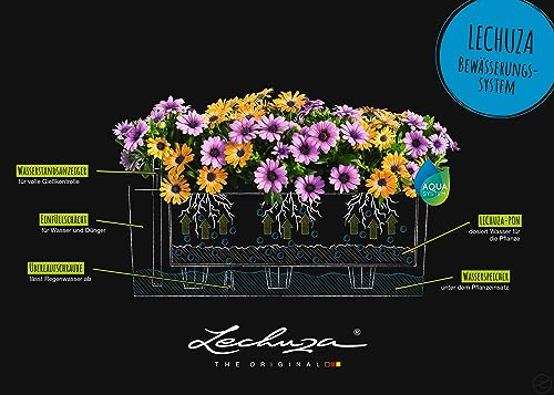 Lechuza BALCONERA Stone 50 Self-Watering Planter | Stone Look Window Box