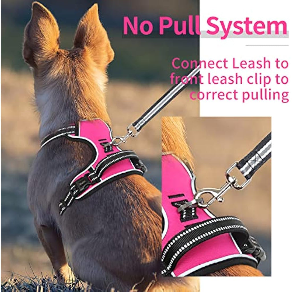 HEELE No Pull Dog Harness | Reflective Padded Nylon Vest – Rose, XS