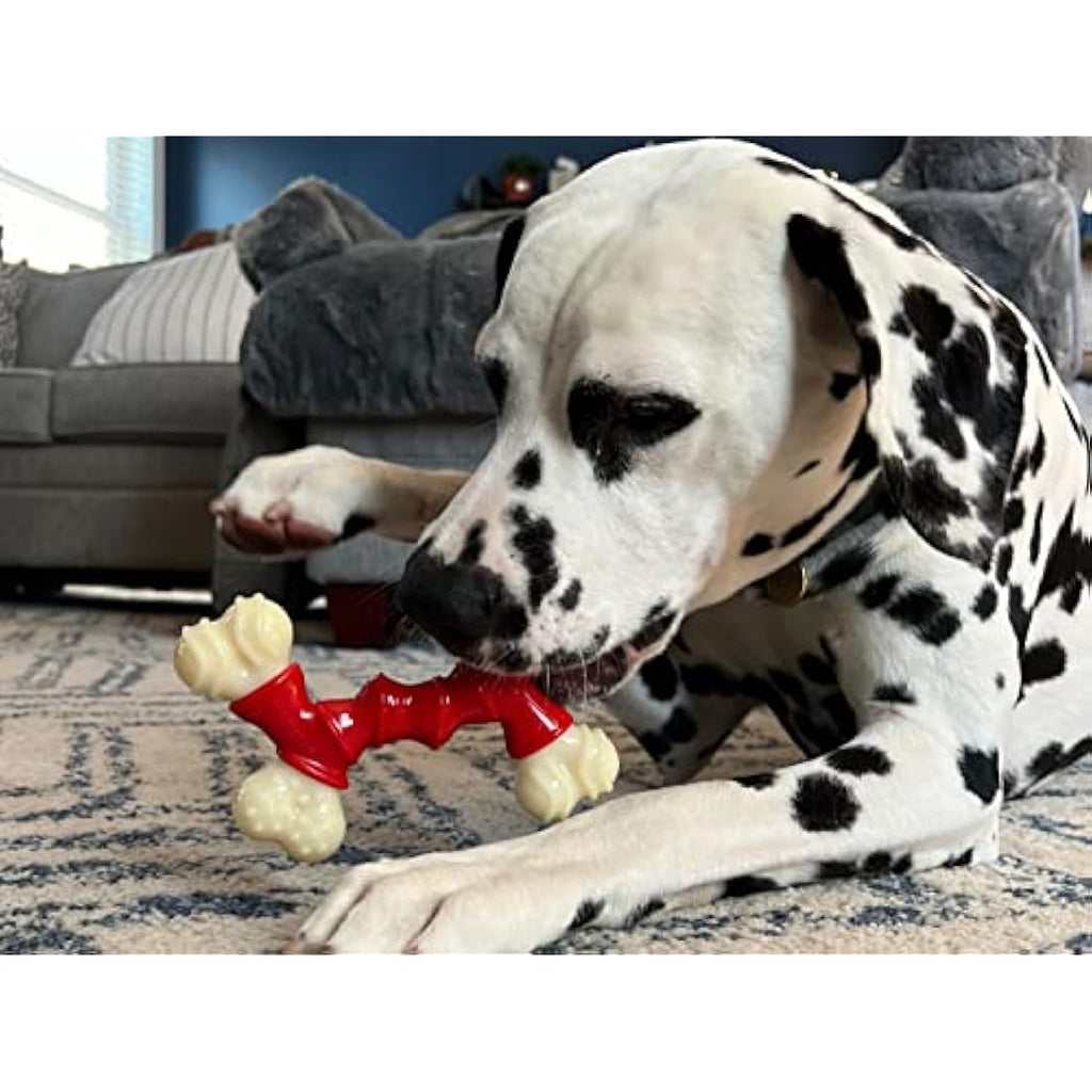 Nylabone Durable Nylon Dog Chew Toy | Bacon Flavour | Medium (Up to 16kg)