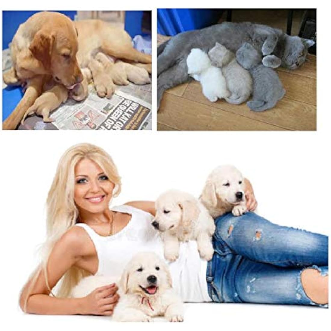 Puppy and Kitten Whelping Kit with Feeding Nipple Bottle