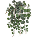 Hollyone Artificial String of Hearts Potted Plant – Faux Trailing Greenery