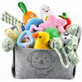 Jolof Store 24-Piece Puppy Toy Set with Storage Bin - Teething & Training