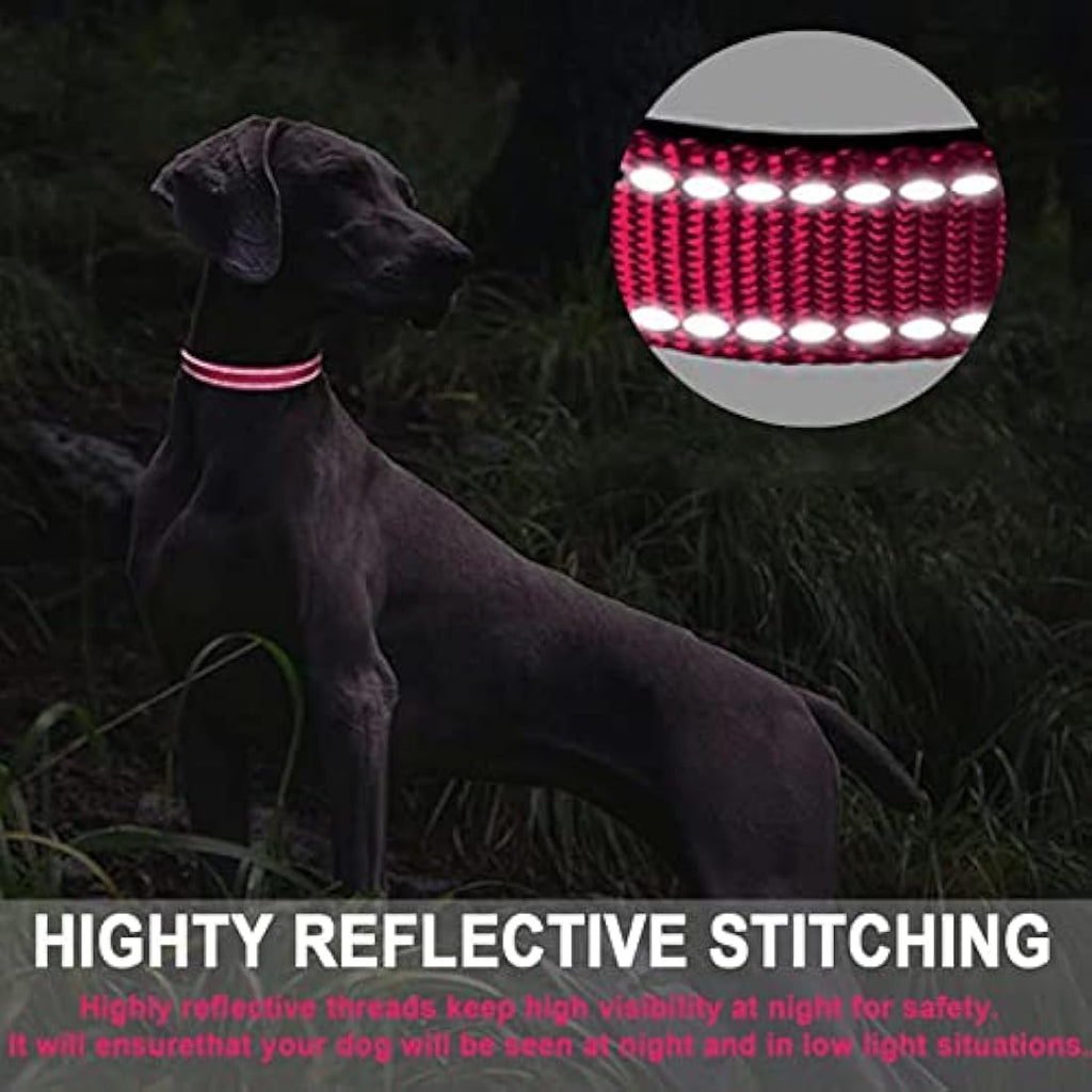 Jolof Store Reflective Padded Dog Collar – Durable Nylon, Hot Pink