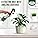 Growlands Indoor Plant Food Mist – 300ml Liquid Fertilizer with Seaweed