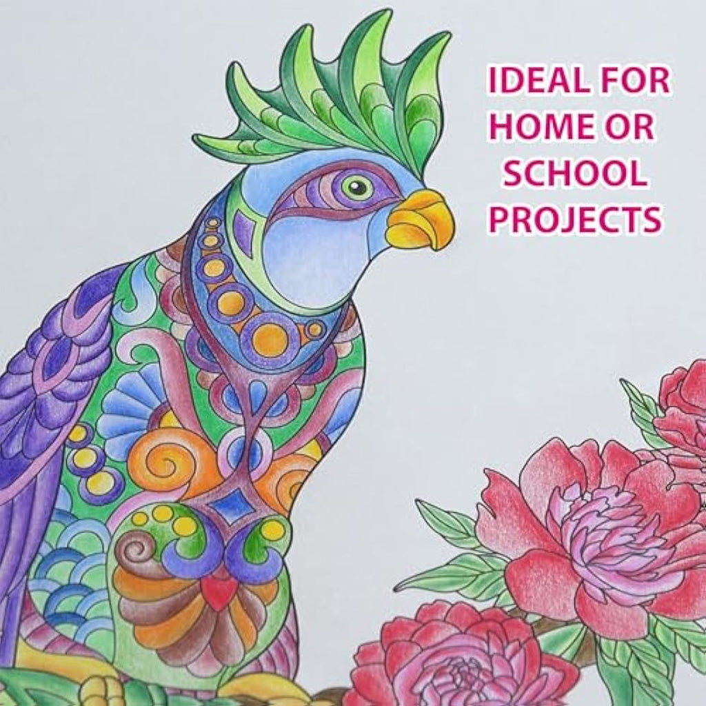Marvin's Magic Art Bundle – Sketchbook, Colouring Book & 25 Magic Pens