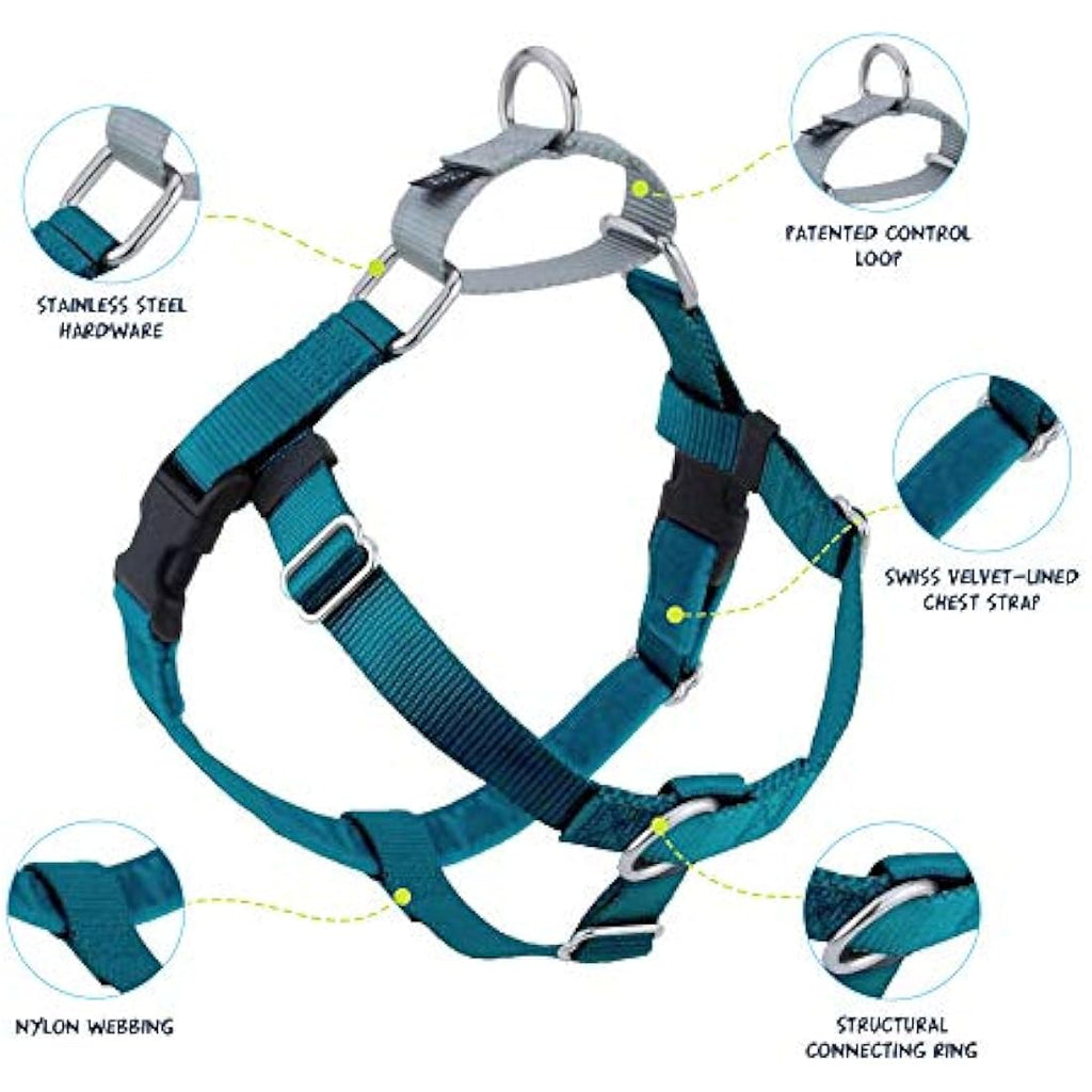 2 Hounds Design Freedom No-Pull Dog Harness & Leash | Teal, Medium